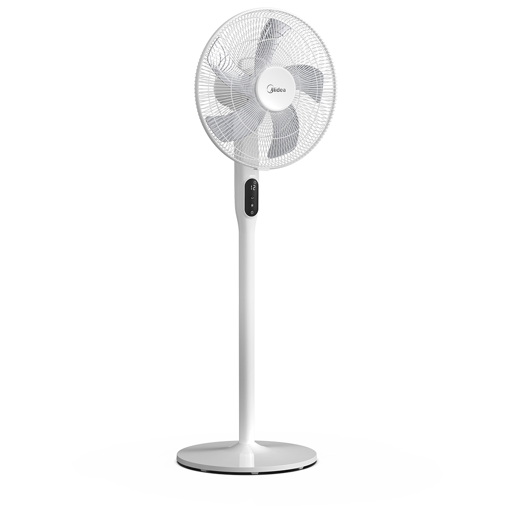 Fans